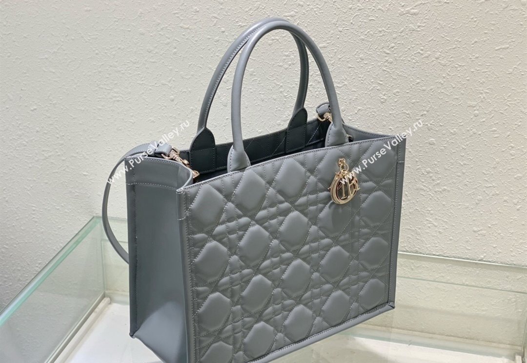 Dior Medium Book Tote Bag in Macrocannage Calfskin Grey 2024 (XXG-240523016)