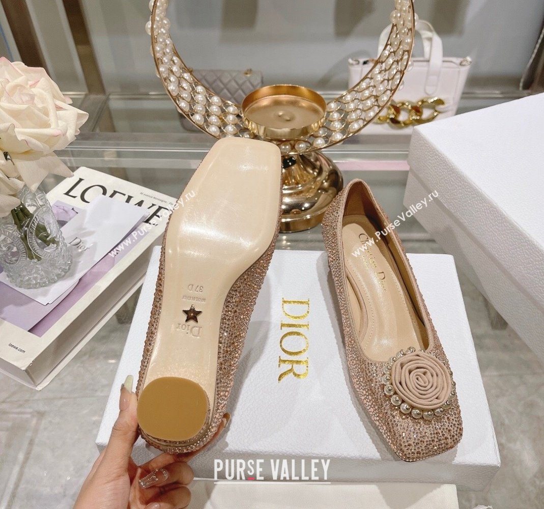 Dior Rose Low Heel Pumps 3.5cm in Suede with Strass and Resin Pearls Apricot 2024 (MD-240106052)