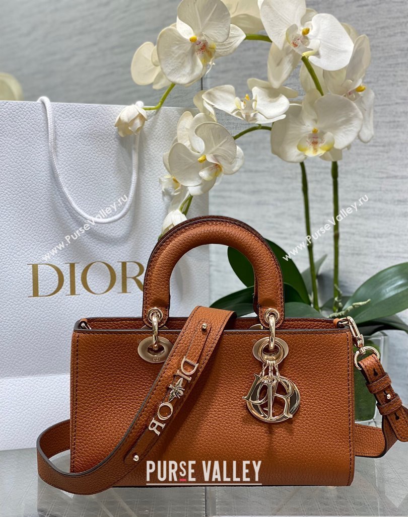 Dior Small Lady D-Sire My ABCDior Tote Bag in Dark Brown Grained Calf Leather 2024 (XXG-240415107)