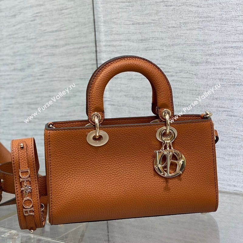 Dior Small Lady D-Sire My ABCDior Tote Bag in Dark Brown Grained Calf Leather 2024 (XXG-240415107)