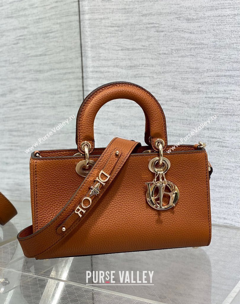 Dior Small Lady D-Sire My ABCDior Tote Bag in Dark Brown Grained Calf Leather 2024 (XXG-240415107)