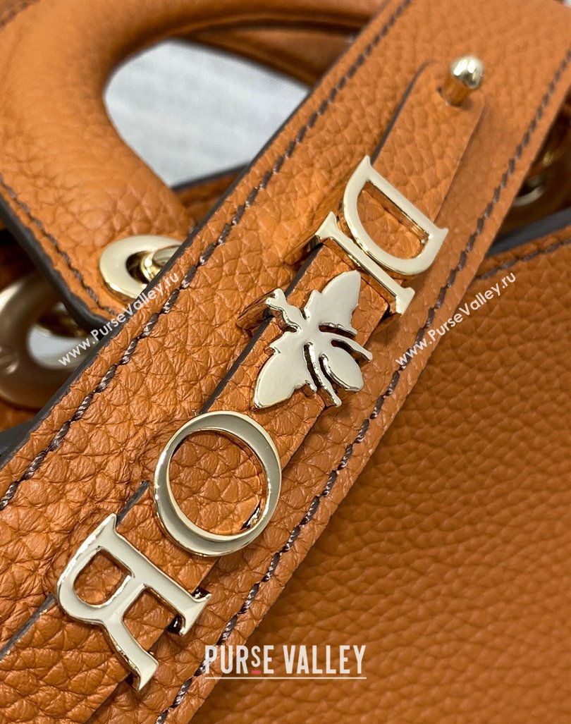 Dior Small Lady D-Sire My ABCDior Tote Bag in Dark Brown Grained Calf Leather 2024 (XXG-240415107)