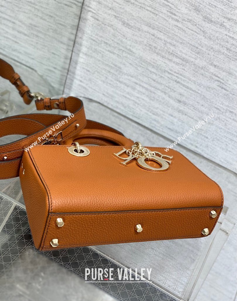 Dior Small Lady D-Sire My ABCDior Tote Bag in Dark Brown Grained Calf Leather 2024 (XXG-240415107)