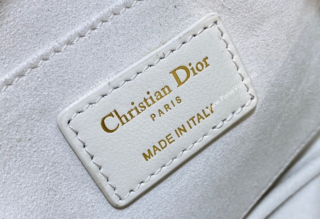 Dior Small Dior Caro Top Handle Camera Bag in White Macrocannage Calfskin 2024 (XXG-240415109)