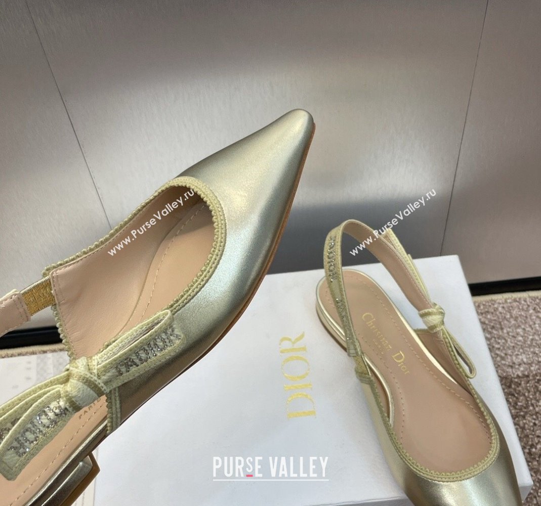 Dior JAdior Slingback Ballet Flat in Gold-Tone Metallic Leather 2024 0506 (MD-240506057)