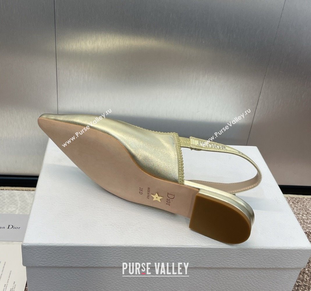 Dior JAdior Slingback Ballet Flat in Gold-Tone Metallic Leather 2024 0506 (MD-240506057)