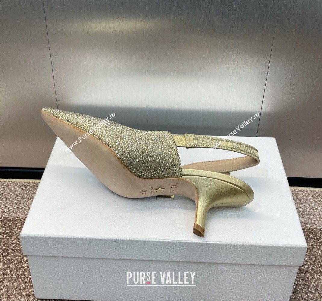 Dior JAdior Slingback Pumps 6.5cm in Yellow Gold-Tone Cotton Embroidered with Metallic Thread and Strass 2024 (MD-240506062)