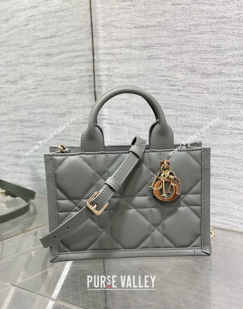 Dior Mini Book Tote Bag in Macrocannage Calfskin with Strap Grey 2024 (XXG-240523013)