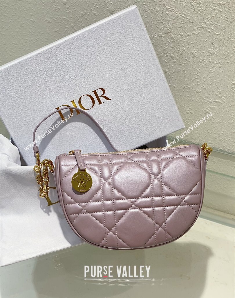 Dior Callisto Moon Mini bag in Cannage Calfskin Pink 2024 (BF-240523040)