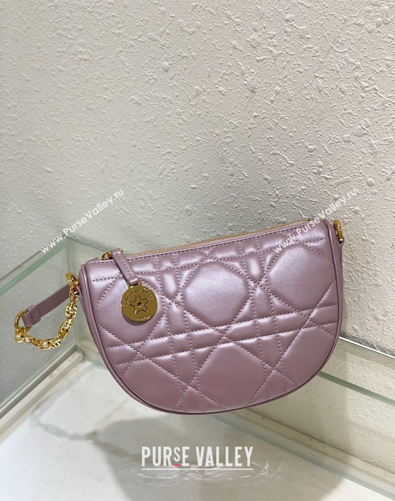 Dior Callisto Moon Mini bag in Cannage Calfskin Pink 2024 (BF-240523040)