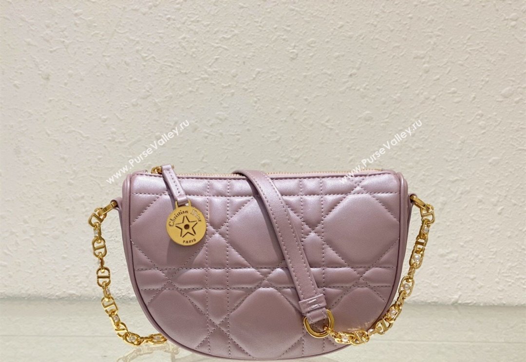 Dior Callisto Moon Mini bag in Cannage Calfskin Pink 2024 (BF-240523040)