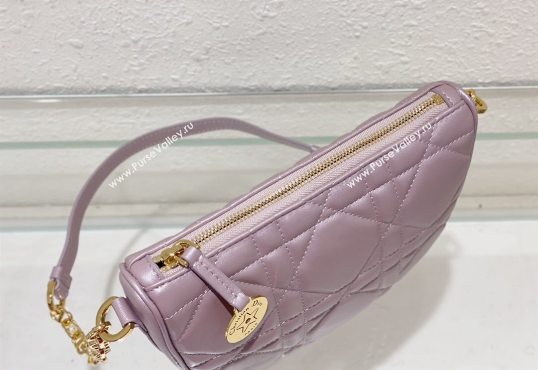 Dior Callisto Moon Mini bag in Cannage Calfskin Pink 2024 (BF-240523040)