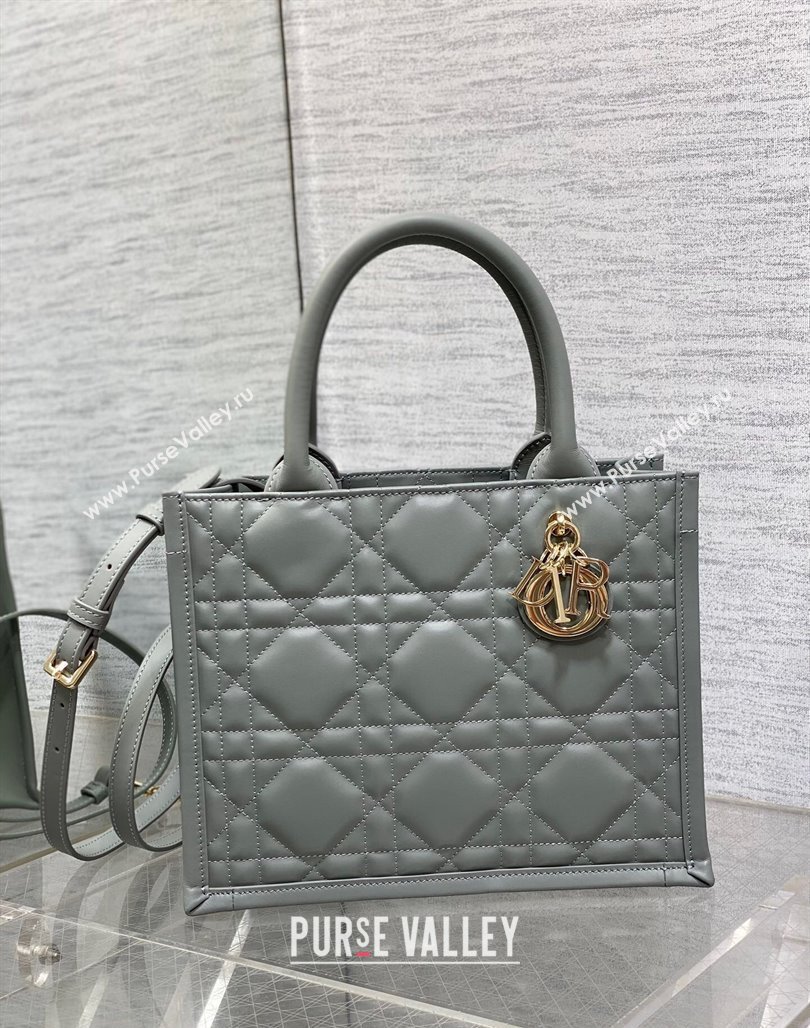 Dior Small Book Tote Bag in Macrocannage Calfskin Grey 2024 (XXG-240523008)