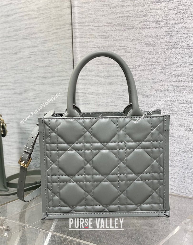 Dior Small Book Tote Bag in Macrocannage Calfskin Grey 2024 (XXG-240523008)