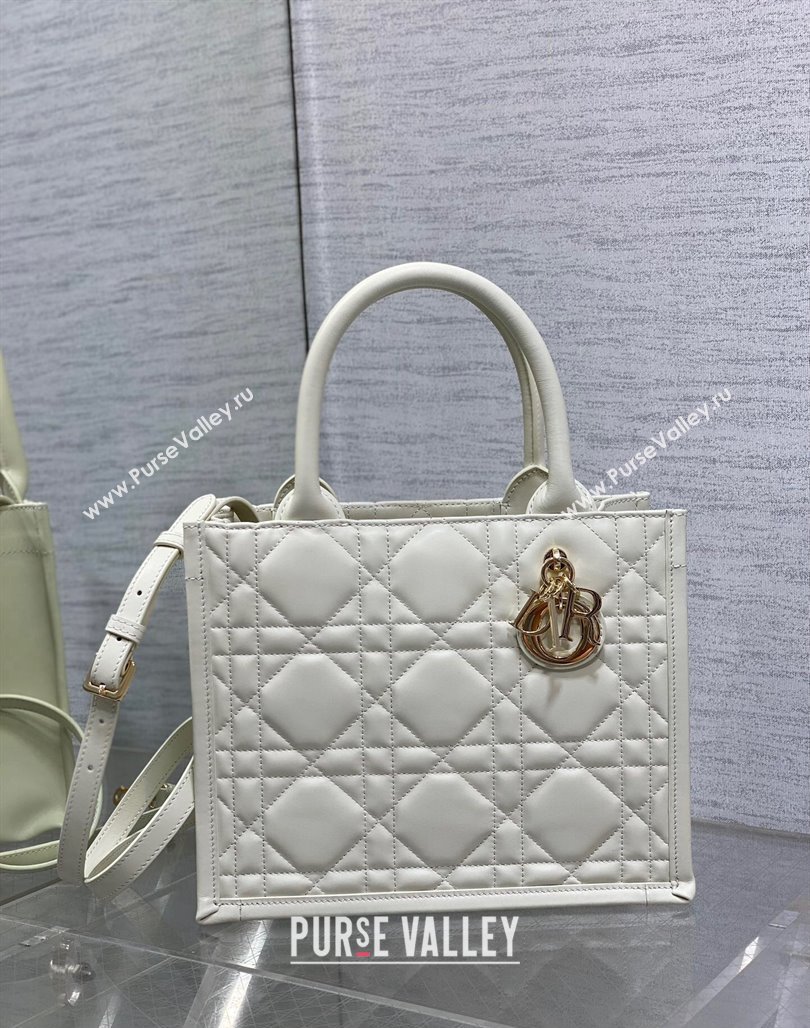 Dior Small Book Tote Bag in Macrocannage Calfskin White 2024 (XXG-240523009)