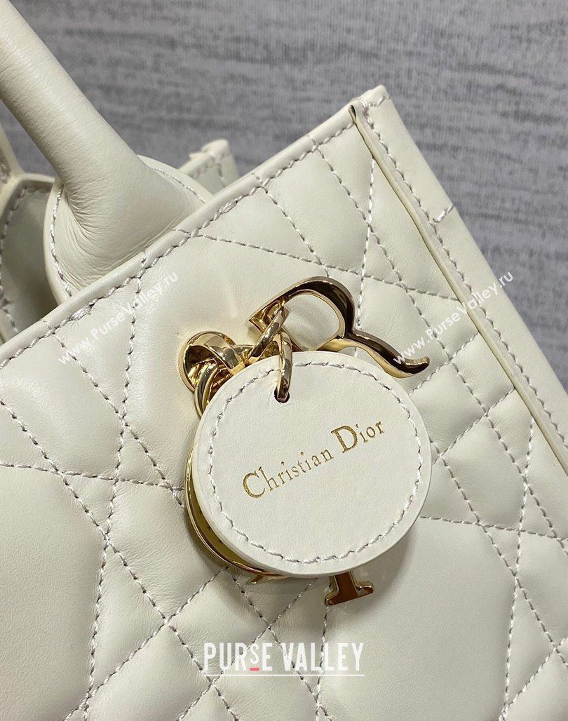 Dior Small Book Tote Bag in Macrocannage Calfskin White 2024 (XXG-240523009)