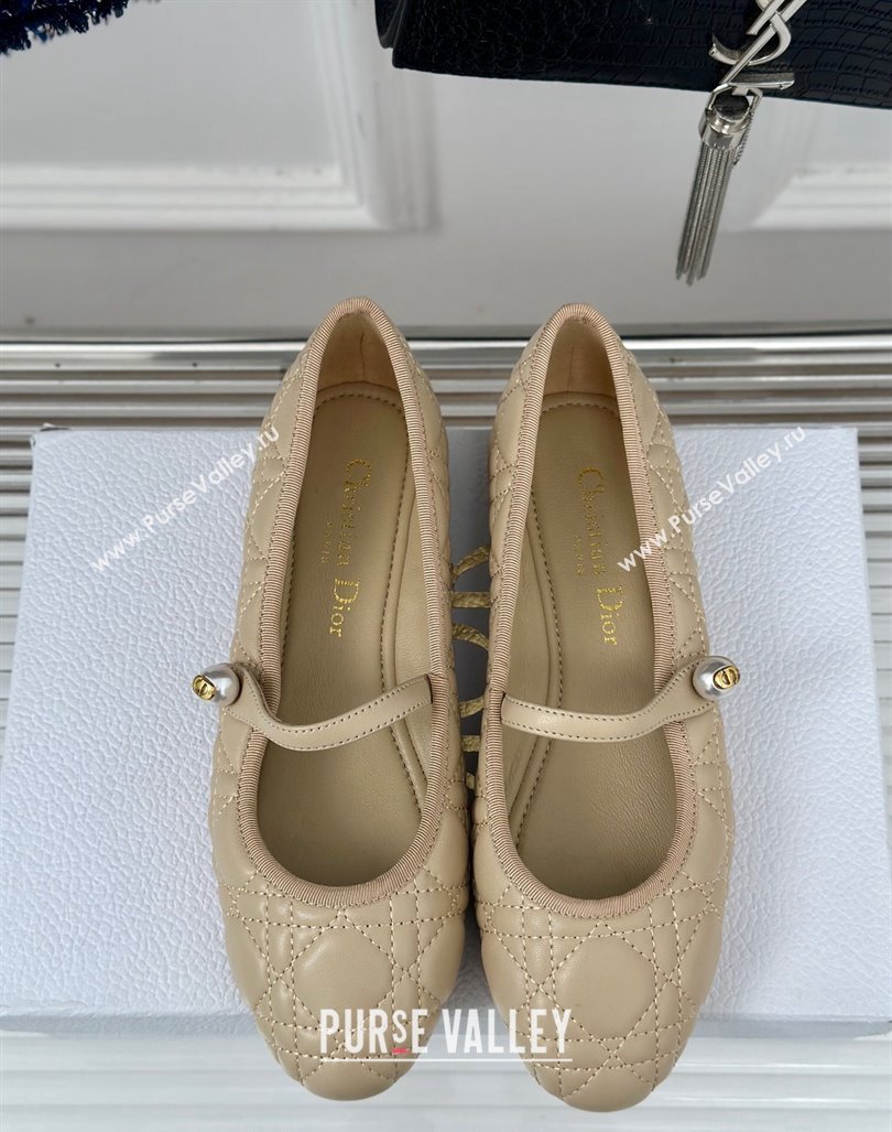 Dior Mary Janes Ballet Flats in Quilted Cannage Calfskin Beige 2024 (MD-240604020)