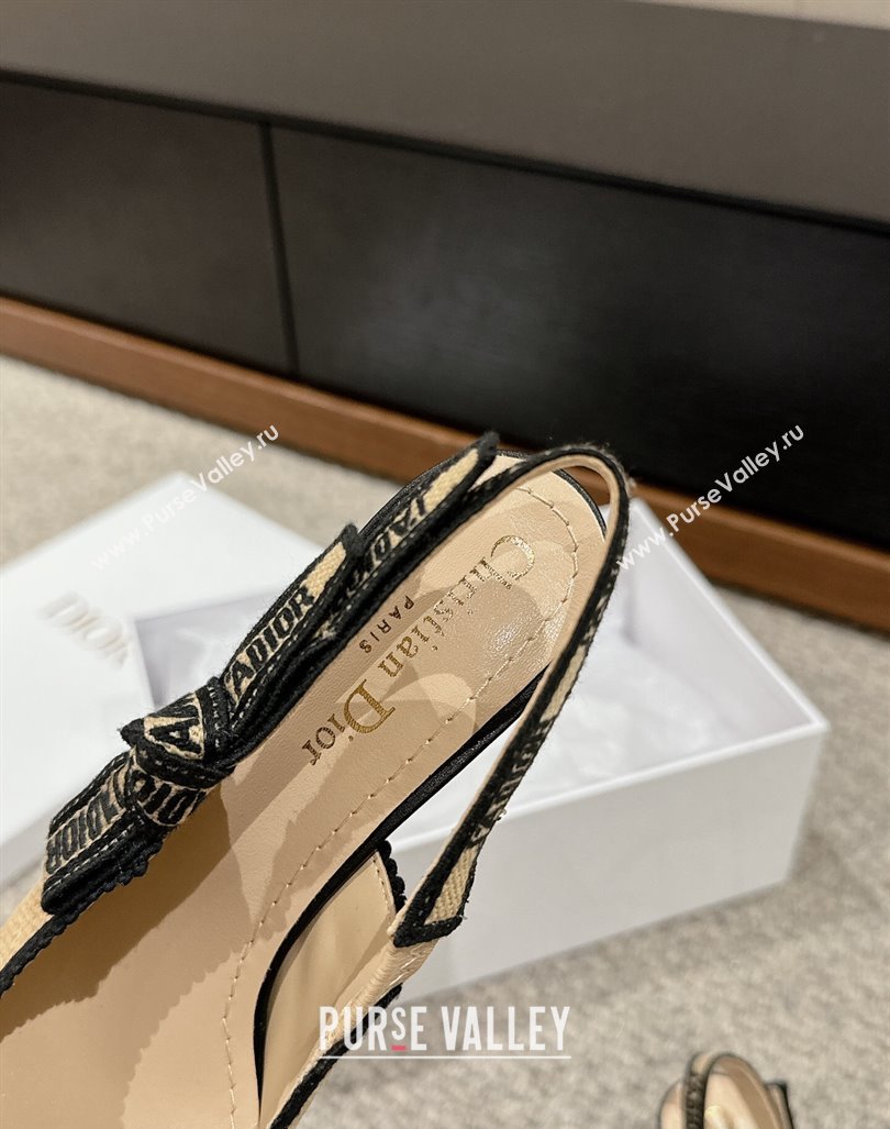 Dior JAdior Slingback Pumps 6.5cm in Beige Yellow Straw 2024 0604 (KL-240604041)