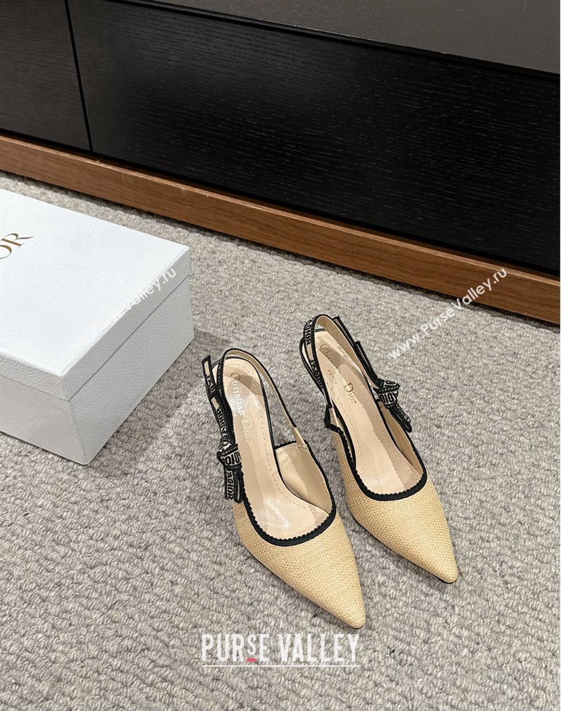 Dior JAdior Slingback Pumps 9.5cm in Beige Yellow Straw 2024 0604 (KL-240604042)