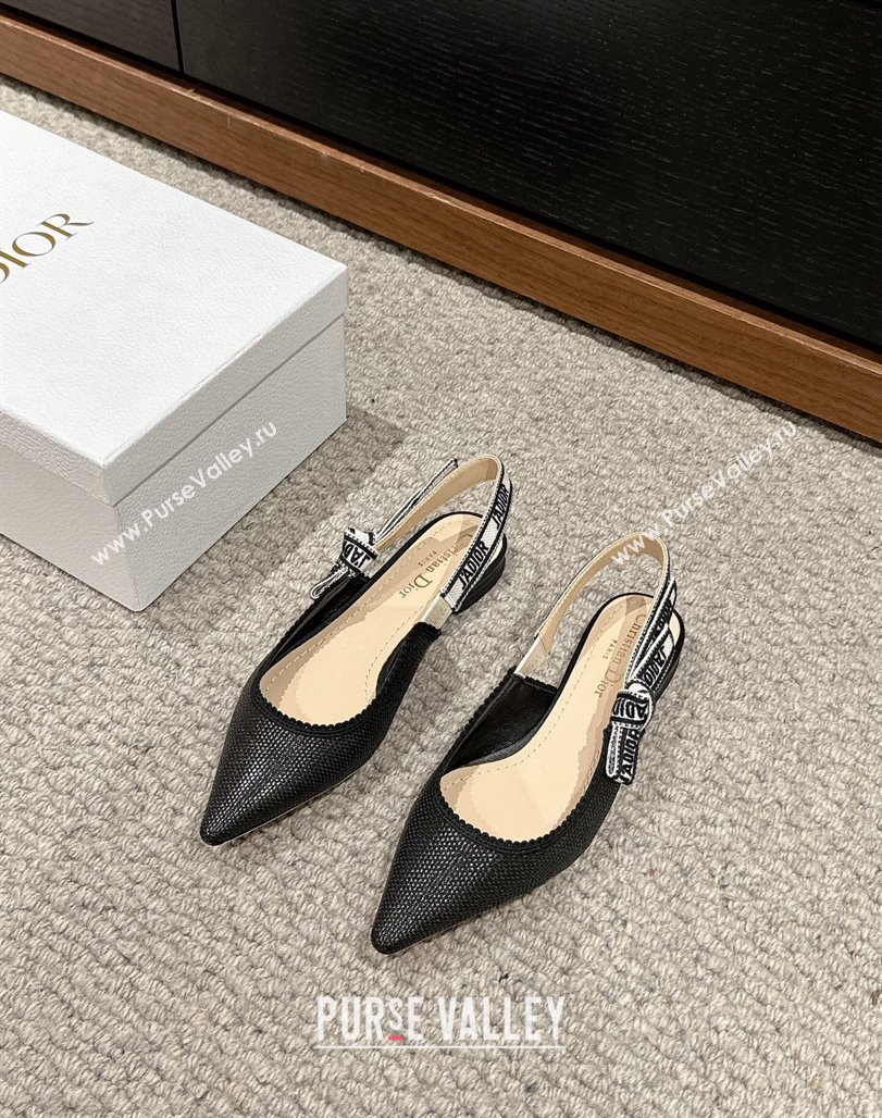 Dior JAdior Slingback Ballet Flat in Black Straw-Like 2024 0604 (KL-240604043)