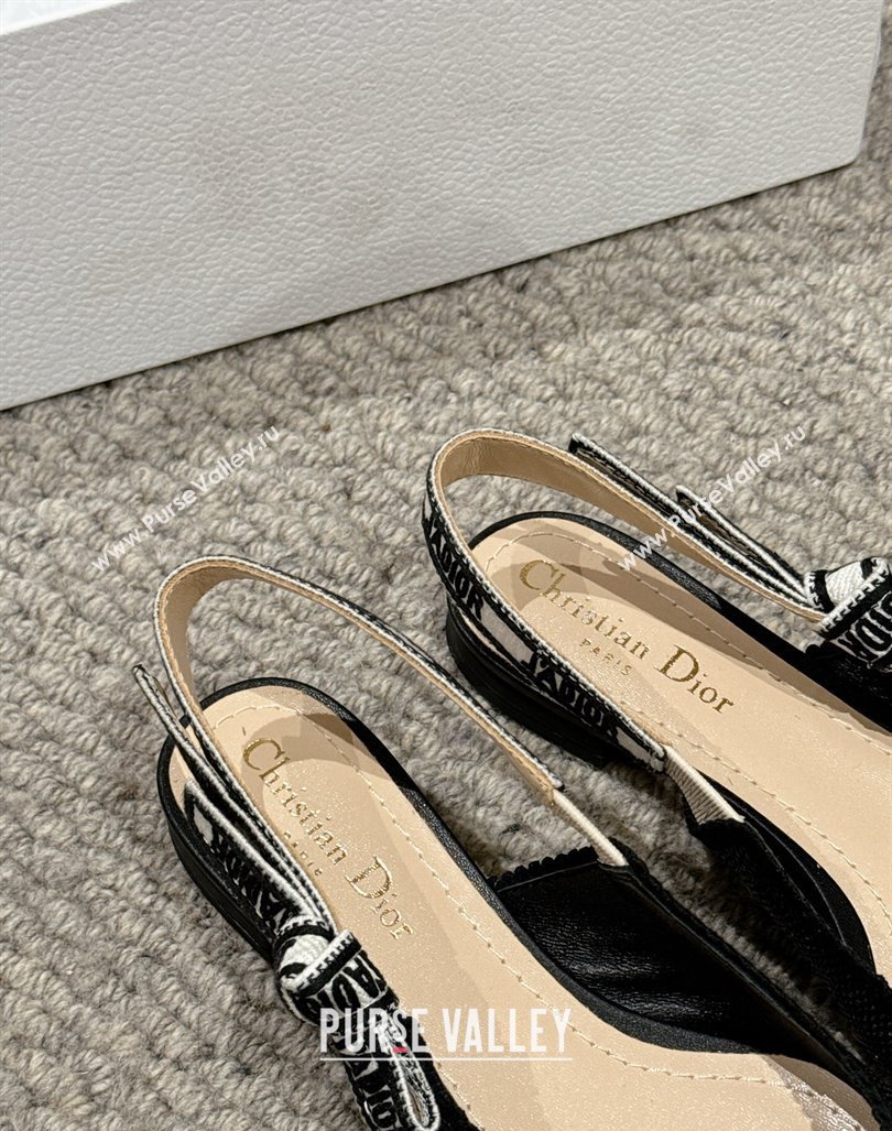 Dior JAdior Slingback Ballet Flat in Black Straw-Like 2024 0604 (KL-240604043)