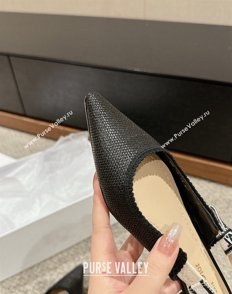 Dior JAdior Slingback Ballet Flat in Black Straw-Like 2024 0604 (KL-240604043)