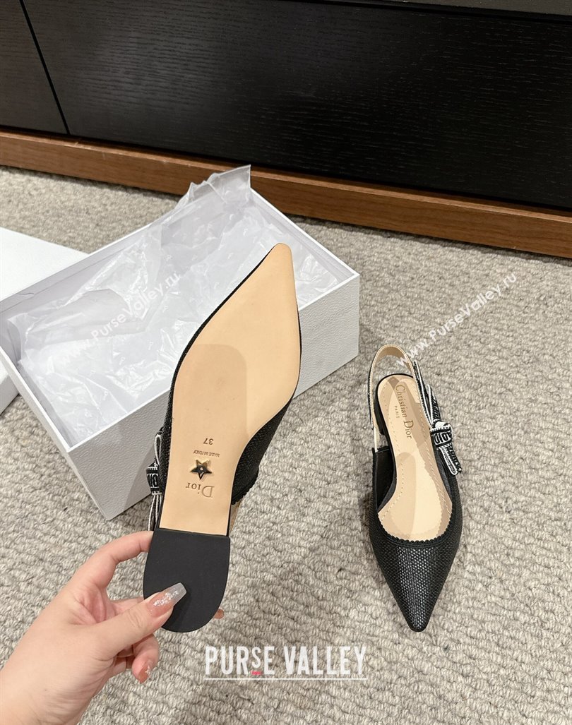 Dior JAdior Slingback Ballet Flat in Black Straw-Like 2024 0604 (KL-240604043)