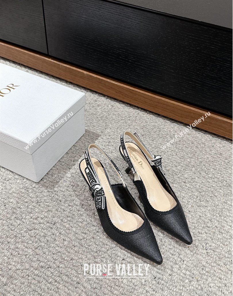 Dior JAdior Slingback Pumps 6.5cm in Black Straw-Like 2024 0604 (KL-240604044)