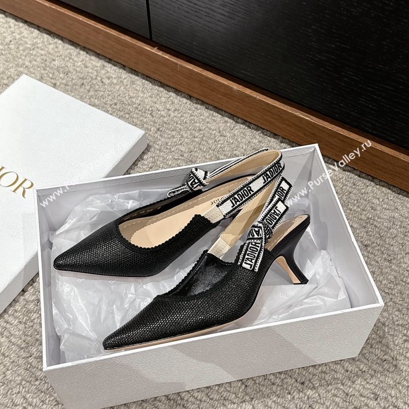 Dior JAdior Slingback Pumps 6.5cm in Black Straw-Like 2024 0604 (KL-240604044)