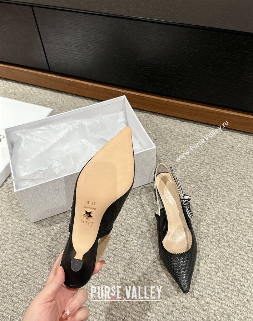 Dior JAdior Slingback Pumps 6.5cm in Black Straw-Like 2024 0604 (KL-240604044)