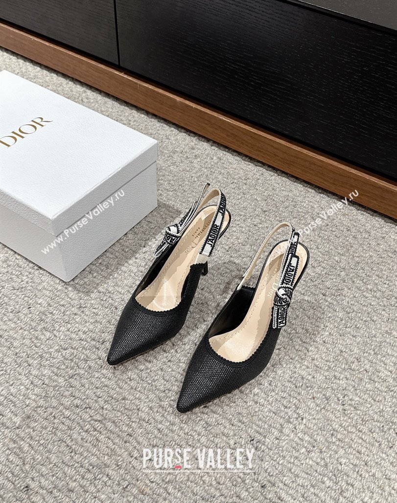 Dior JAdior Slingback Pumps 9.5cm in Black Straw-Like 2024 0604 (KL-240604045)