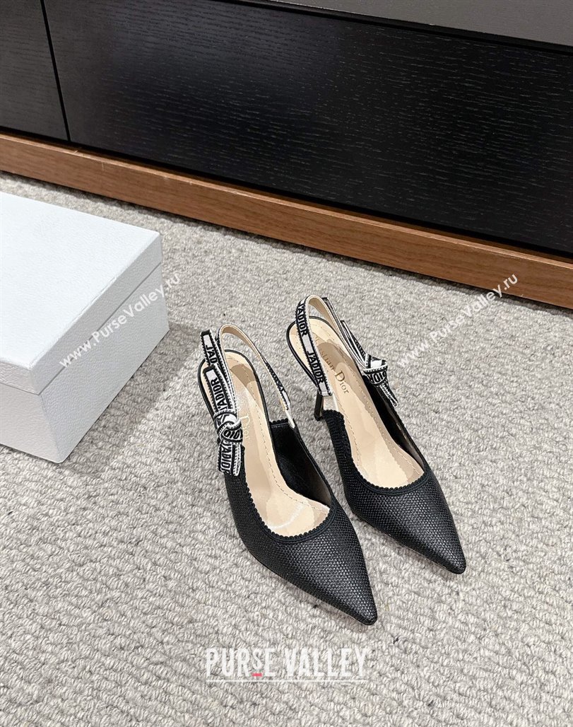 Dior JAdior Slingback Pumps 9.5cm in Black Straw-Like 2024 0604 (KL-240604045)