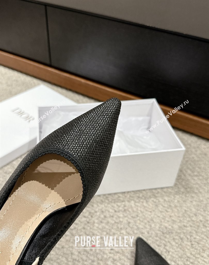 Dior JAdior Slingback Pumps 9.5cm in Black Straw-Like 2024 0604 (KL-240604045)