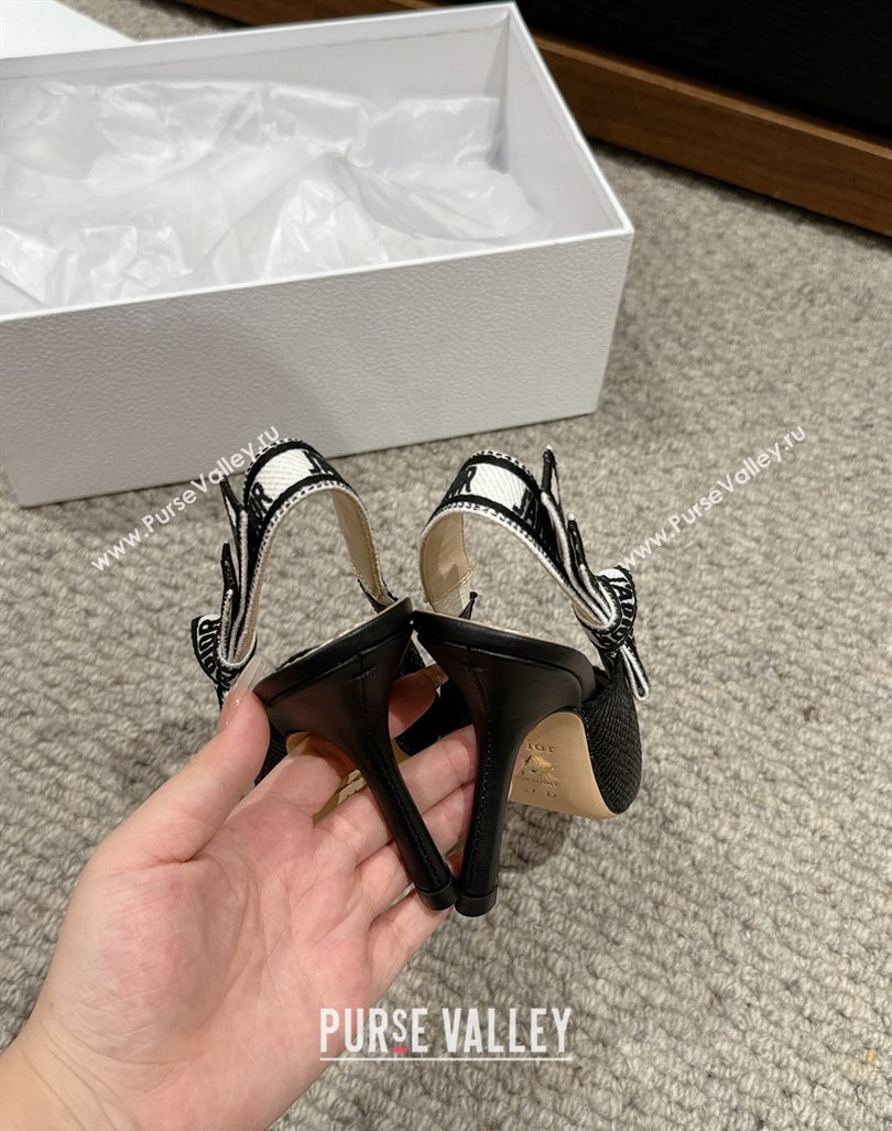 Dior JAdior Slingback Pumps 9.5cm in Black Straw-Like 2024 0604 (KL-240604045)