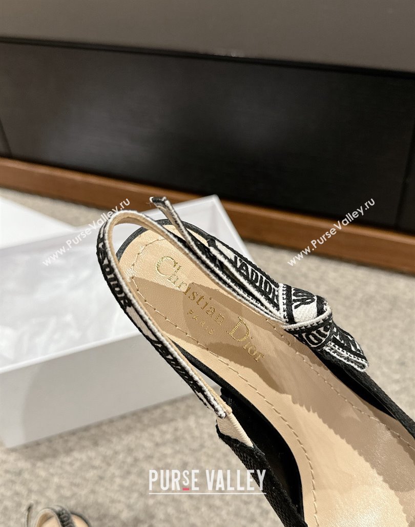 Dior JAdior Slingback Pumps 9.5cm in Black Straw-Like 2024 0604 (KL-240604045)