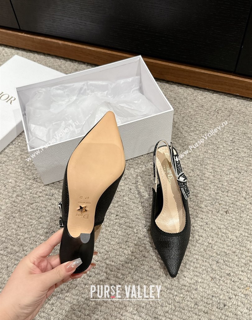 Dior JAdior Slingback Pumps 9.5cm in Black Straw-Like 2024 0604 (KL-240604045)