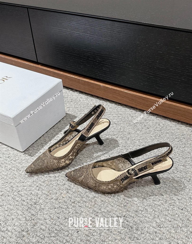 Dior JAdior Slingback Pumps/Ballet Flats in Gold-Tone Embroidered Lace 2024 0604 (KL-240604046)