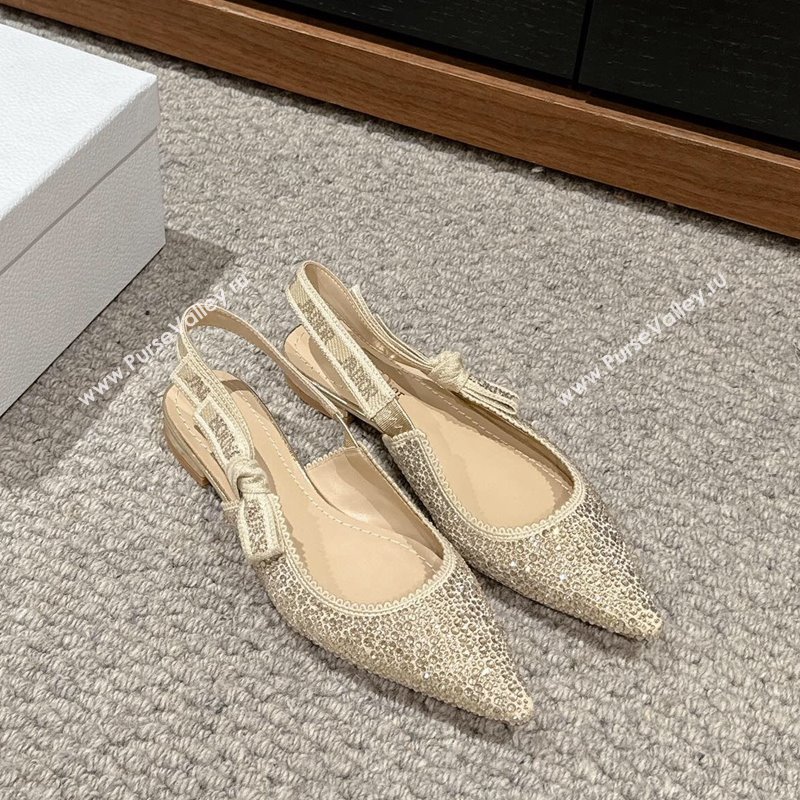 Dior JAdior Slingback Ballet in Strass Embroidery Gold-Tone 2024 0604 (KL-240604067)