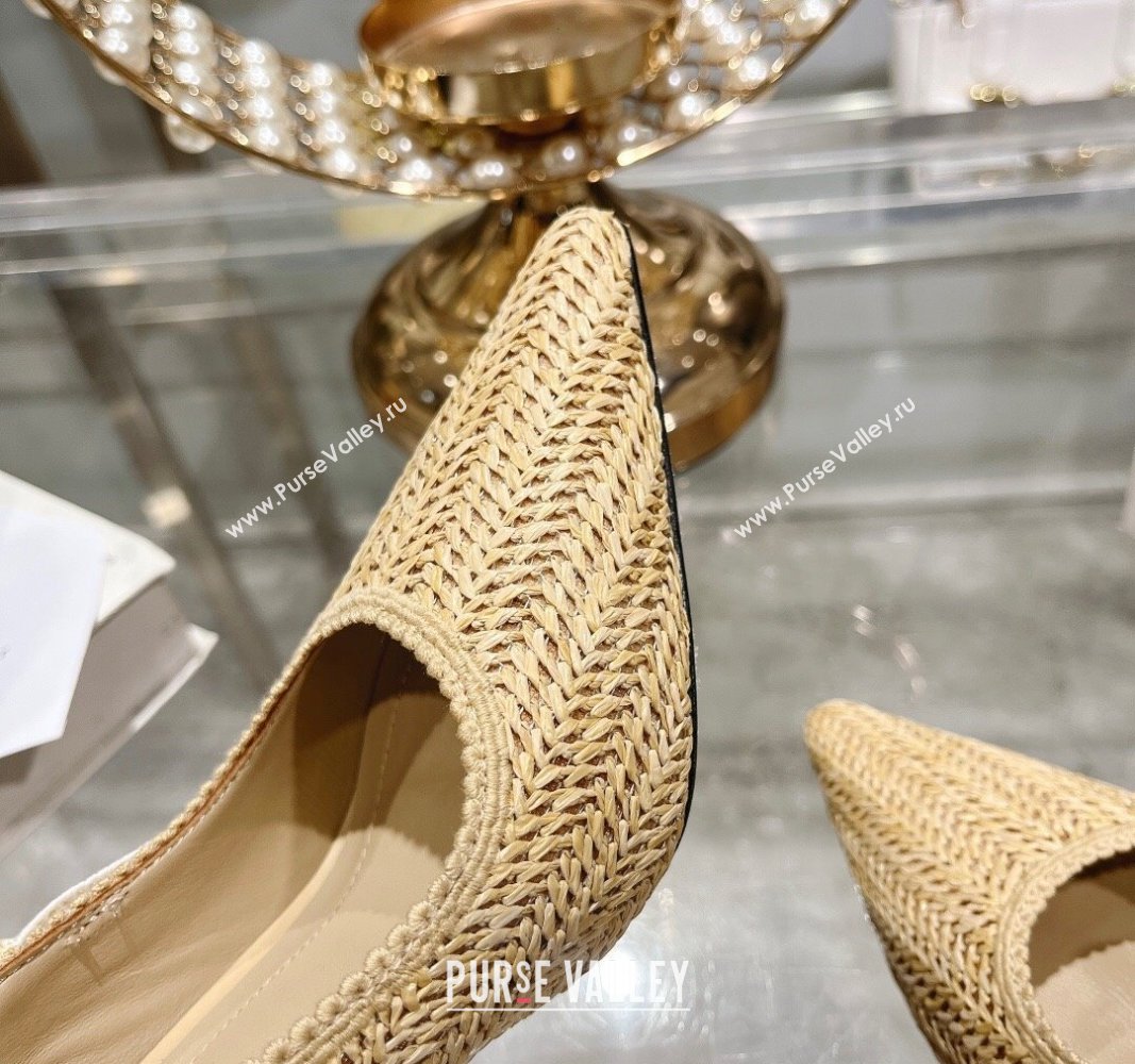 Dior JAdior Slingback Pumps 9.5cm in Beige Braided Straw 2024 0604 (KL-240604068)