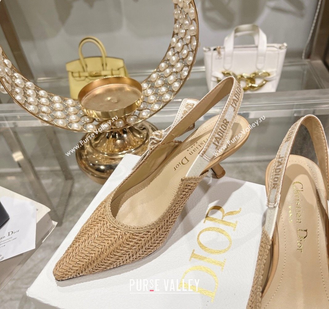 Dior JAdior Slingback Pumps 6.5cm in Braided Straw Khaki 2024 0604 (KL-240604070)