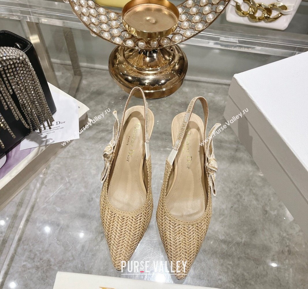 Dior JAdior Slingback Pumps 6.5cm in Braided Straw Beige 2024 0604 (KL-240604071)