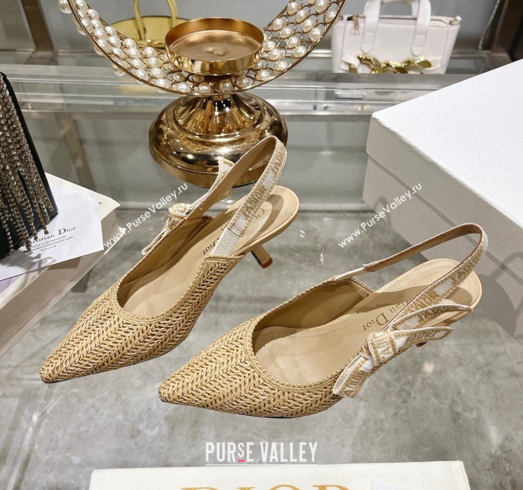 Dior JAdior Slingback Pumps 6.5cm in Braided Straw Beige 2024 0604 (KL-240604071)