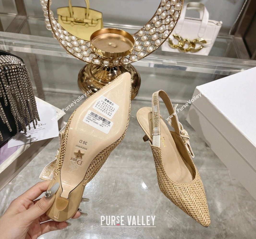 Dior JAdior Slingback Pumps 6.5cm in Braided Straw Beige 2024 0604 (KL-240604071)