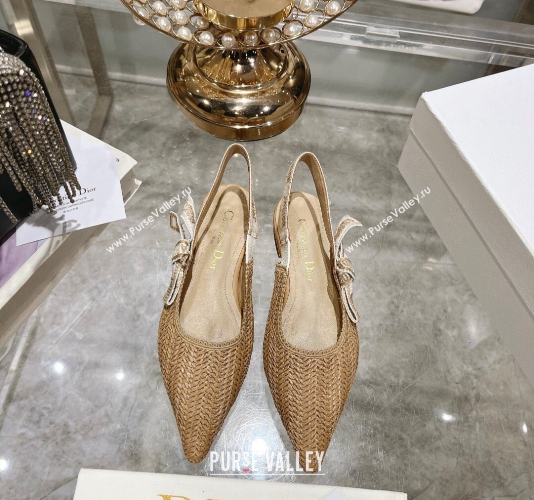 Dior JAdior Slingback Ballet Flat in Braided Straw Khaki 2024 0604 (KL-240604073)