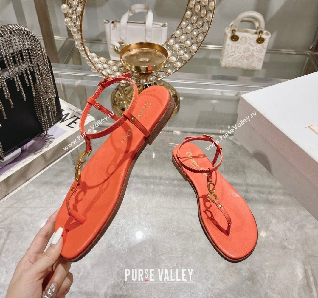 Dior Dioriviera Cest Flat Thong Sandals in Orange Calfskin 2024 (MD-240702055)