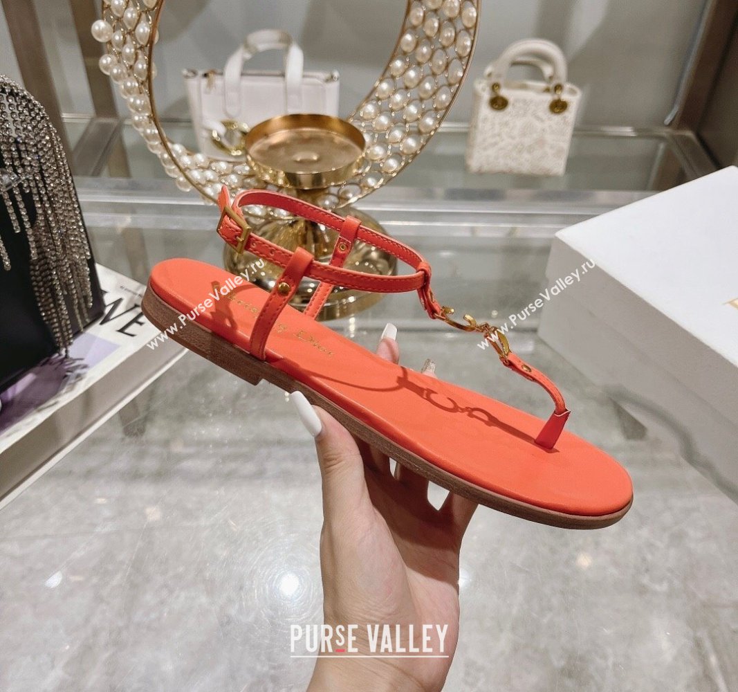 Dior Dioriviera Cest Flat Thong Sandals in Orange Calfskin 2024 (MD-240702055)