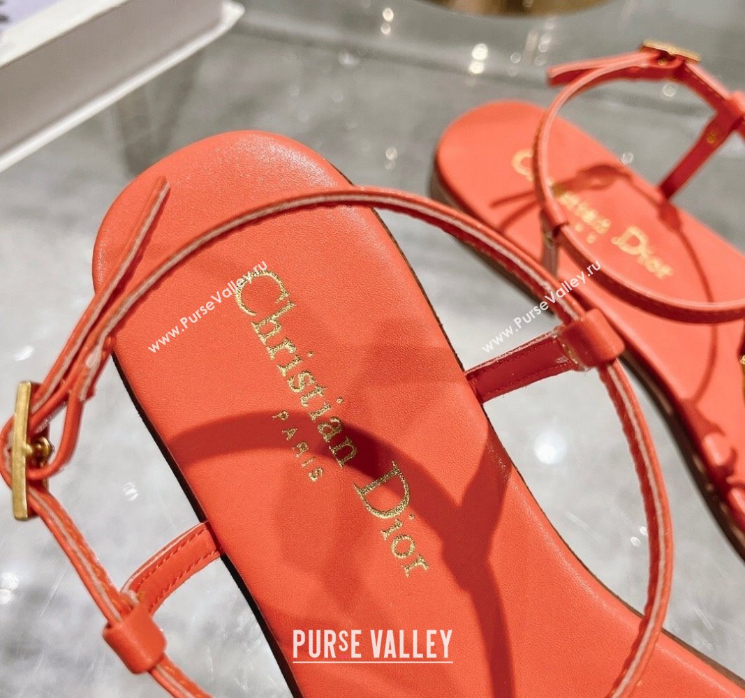 Dior Dioriviera Cest Flat Thong Sandals in Orange Calfskin 2024 (MD-240702055)