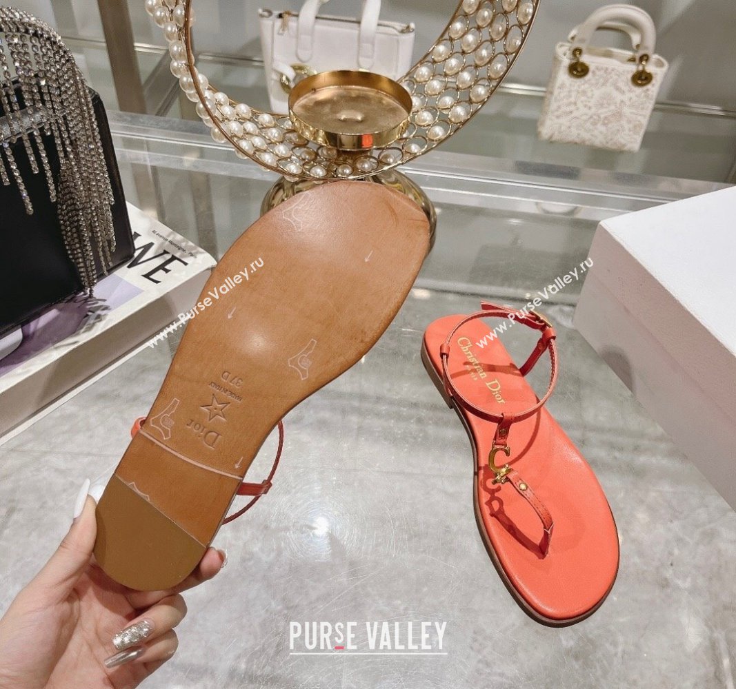 Dior Dioriviera Cest Flat Thong Sandals in Orange Calfskin 2024 (MD-240702055)