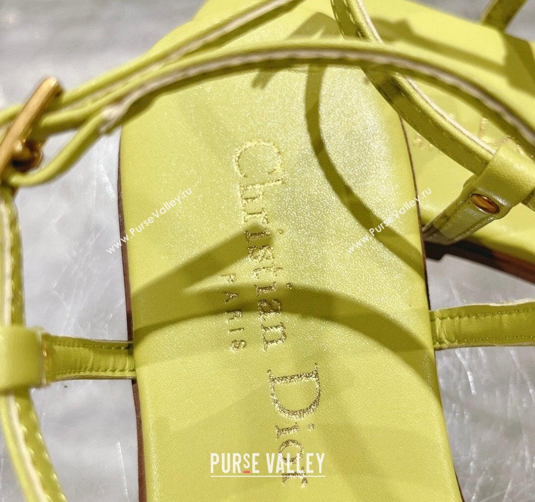 Dior Dioriviera Cest Flat Thong Sandals in Yellow Calfskin 2024 (MD-240702056)