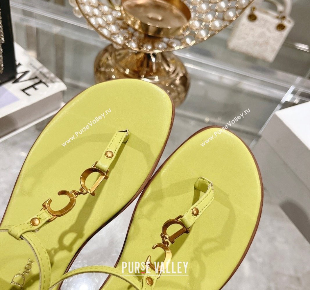 Dior Dioriviera Cest Flat Thong Sandals in Yellow Calfskin 2024 (MD-240702056)